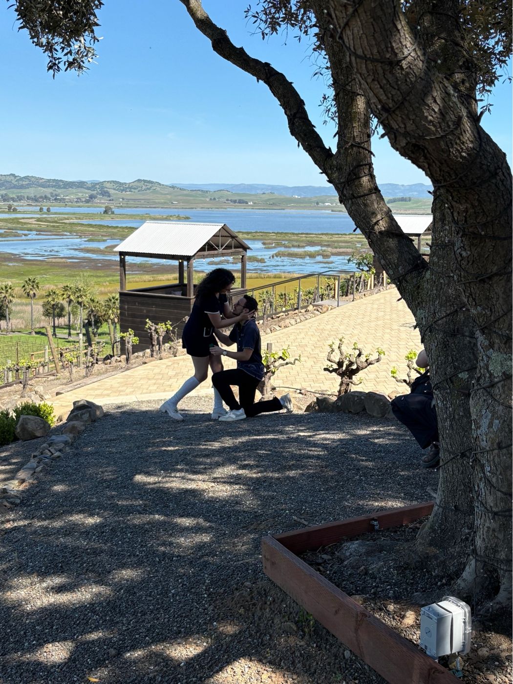 Tristan on one knee proposing to Ileana at a vineyard overlook